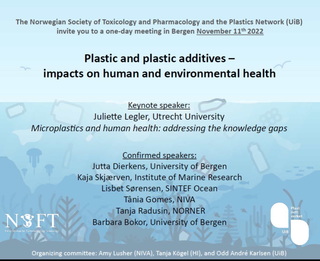 Plastic and plastic additives –impacts on human and environmental health